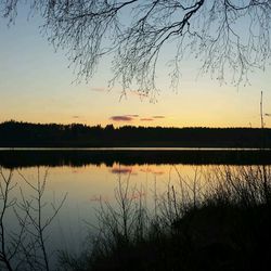 Silhouette of trees at sunset