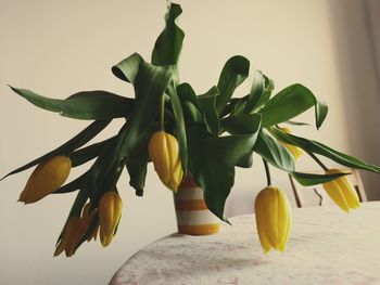 Close-up of yellow flower vase on table against wall