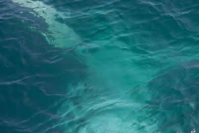 High angle view of swimming pool in sea