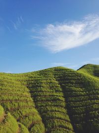 Scenic view of hill landscape against blue sky