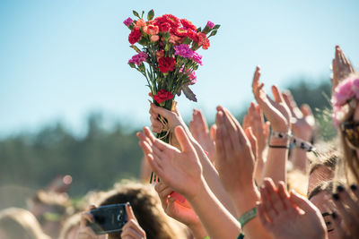 Close-up of woman holding pink flower