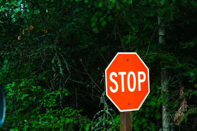 Close-up of road sign against trees