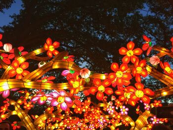 Low angle view of flowers