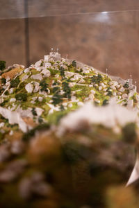 Close-up of flowering plant on table