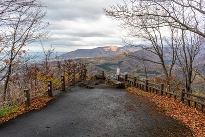 Road by trees against sky during autumn