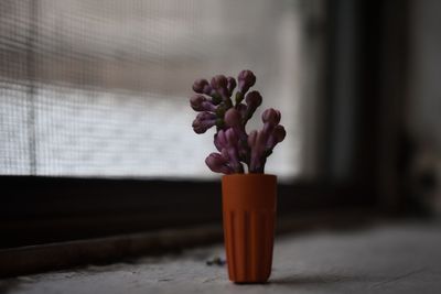 Close-up of purple flower vase on table at home