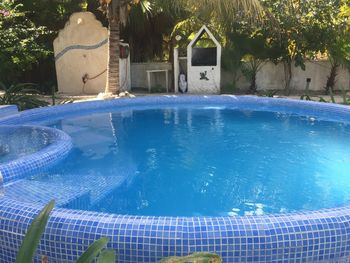 Swimming pool in yard