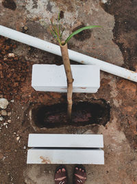 High angle view of person standing on rusty metal