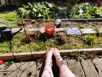 Low section of person wearing shoes by plants