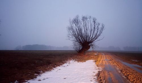 Bare tree on snowy landscape against clear sky