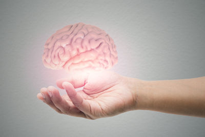 Close-up of hand holding pink over white background