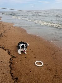 beach