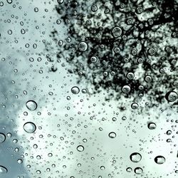 Close-up of water drops on glass