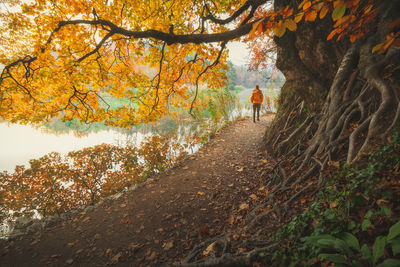 Colorful autumn season in plitvice lakes national park from croatia.