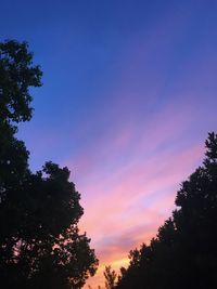 Low angle view of trees against sky