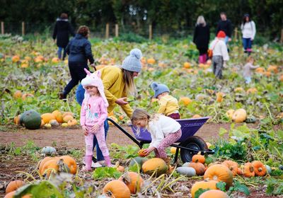 Rear view of two people standing by pumpkins during autumn