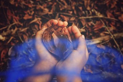 Close-up of hand holding dry leaves