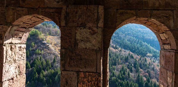 Trees seen through arch window