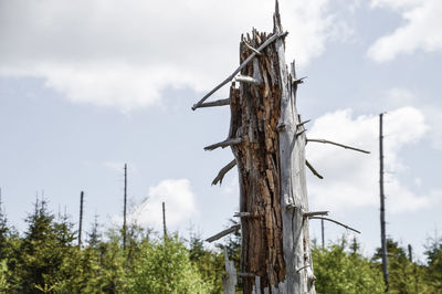 Low angle view of cross on wooden post against sky