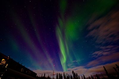 Low angle view of aurora borealis against sky
