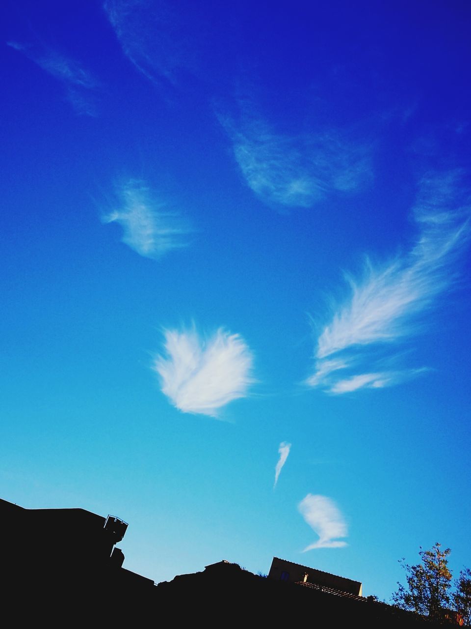 LOW ANGLE VIEW OF SILHOUETTE VAPOR TRAIL IN SKY