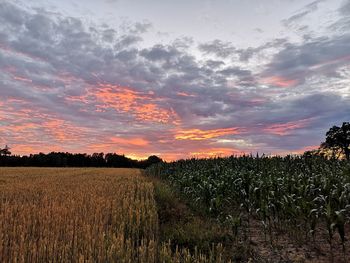 Scenic view of field against sky during sunset