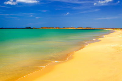 Scenic view of beach