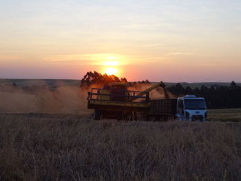 Scenic view of agricultural field against sky during sunset