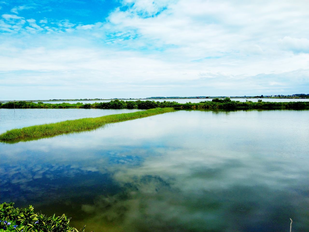 reflection, water, nature, sky, cloud, environment, scenics - nature, lake, beauty in nature, landscape, plant, natural environment, tranquility, wetland, shore, tranquil scene, no people, body of water, marsh, grass, horizon, green, land, blue, day, tree, non-urban scene, outdoors, reservoir, morning, travel destinations, travel, rural scene, idyllic, sunlight, standing water, forest, lagoon, tourism