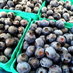 Close-up of fruits for sale