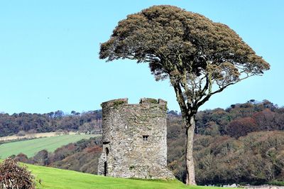 Old ruin of tree on field against clear sky