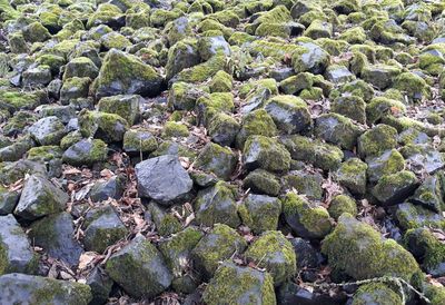 Full frame shot of rocks