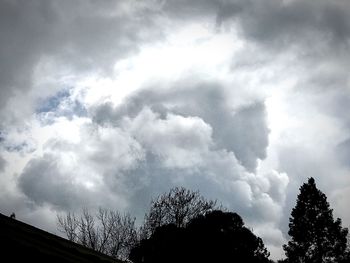 Low angle view of silhouette trees against sky