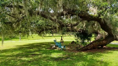 Man sitting in park