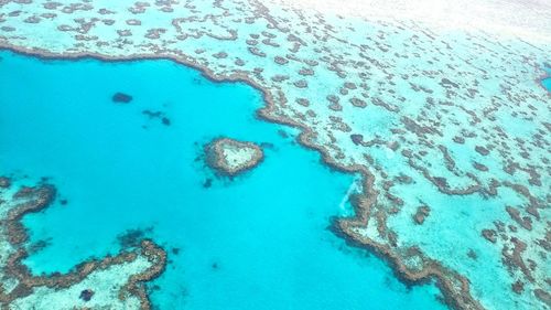 Great heart barrier reef austrália