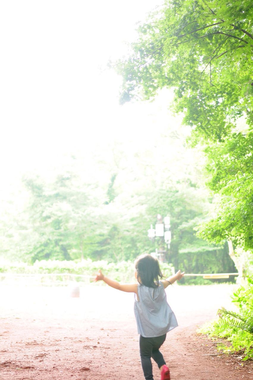 lifestyles, rear view, leisure activity, standing, water, casual clothing, full length, men, tree, three quarter length, nature, scenics, photographing, day, person, tranquil scene, beauty in nature, sky