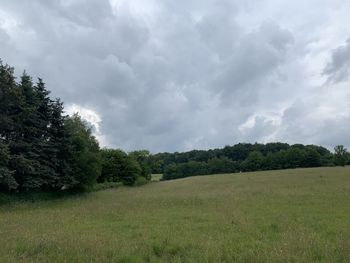 Scenic view of trees on field against sky