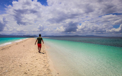 Rear view of man on beach against sky