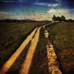 Scenic view of landscape against sky