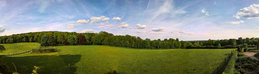 Panoramic view of park with lawn and trees