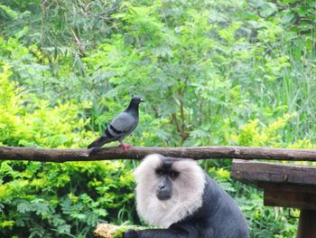 Bird perching on tree trunk