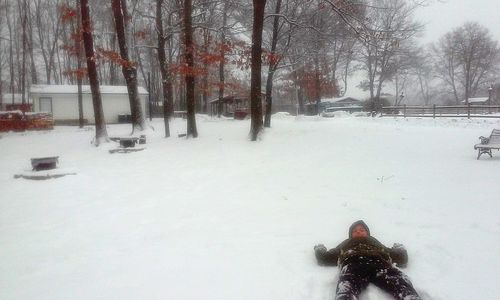 Person walking on snow covered trees during winter