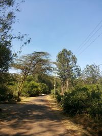 Empty road against clear sky