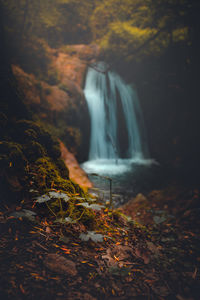 Low-angle shallow dof shot of vegetation with a waterfall in the background