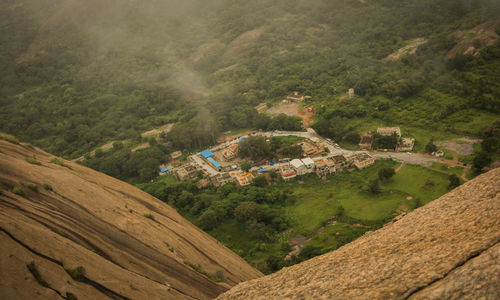 Scenic view of tree mountains