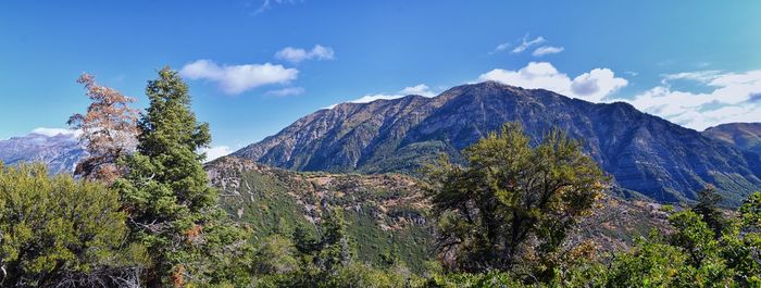 mountain
