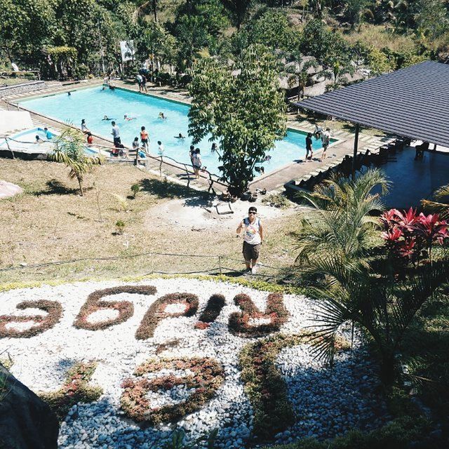 lifestyles, water, leisure activity, tree, person, men, full length, walking, vacations, large group of people, casual clothing, rear view, beach, tourist, day, boys, park - man made space, tourism, enjoyment