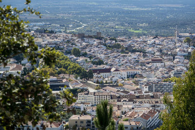 High angle view of townscape by sea