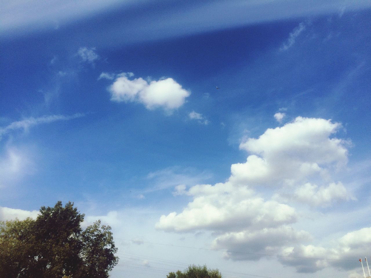 low angle view, sky, tree, cloud - sky, blue, beauty in nature, tranquility, nature, scenics, cloud, tranquil scene, cloudy, growth, day, outdoors, no people, idyllic, high section, white color, sunlight