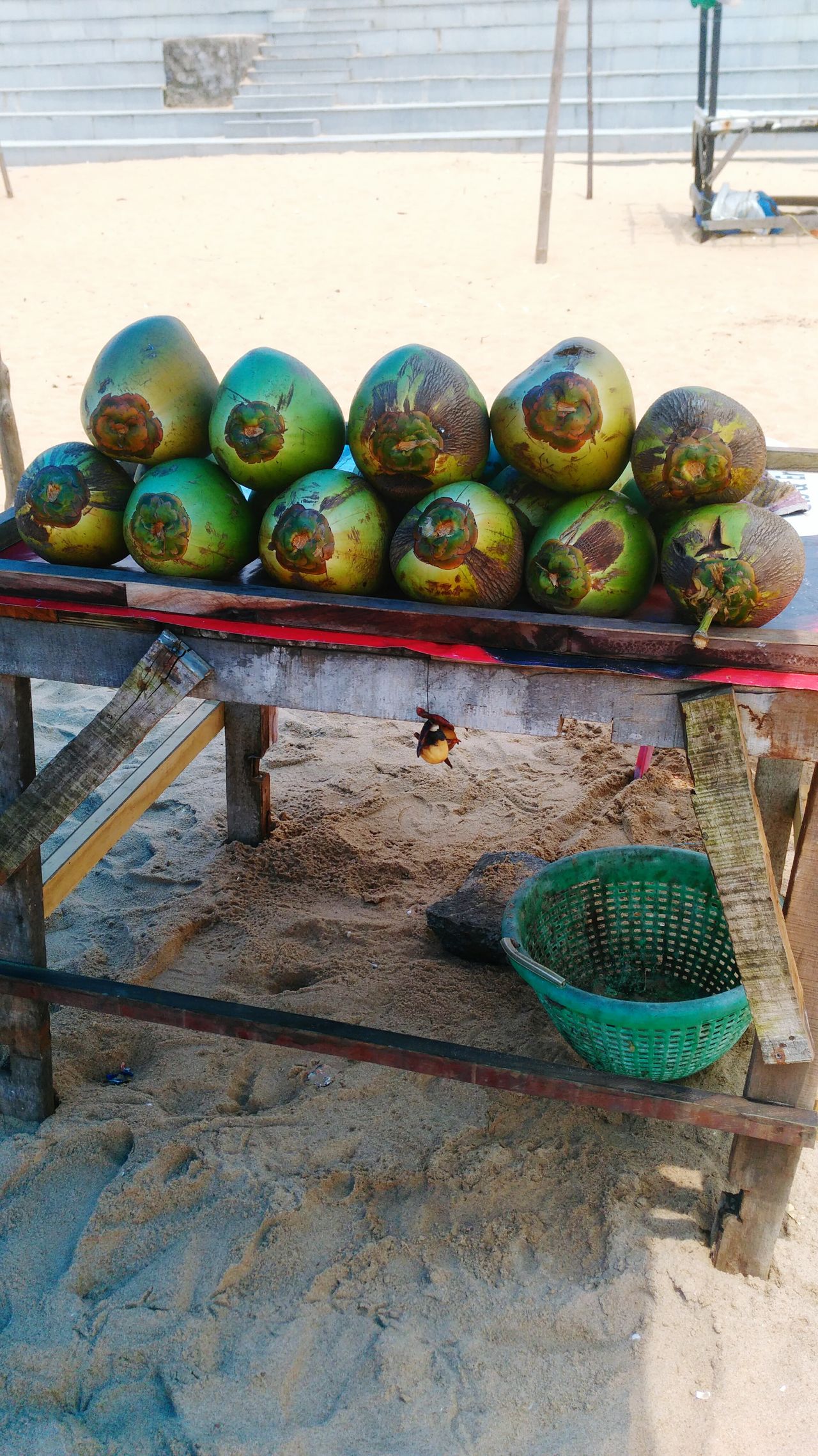 Green Coconut gathered &arranged for Tourist at Gopalpur on Sea,Odisha